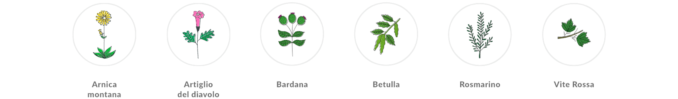 Olympia active | arnica | artiglio del diavolo