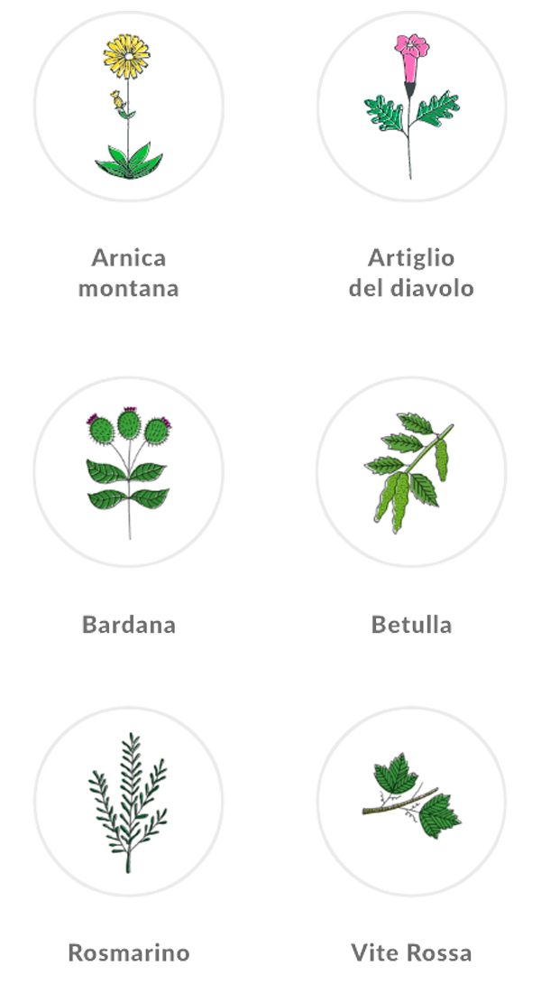 Olympia active | arnica | artiglio del diavolo