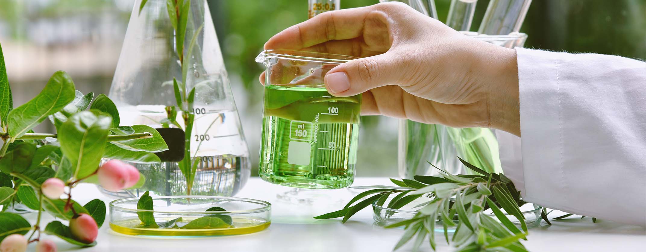 Olympia creme | principi naturali