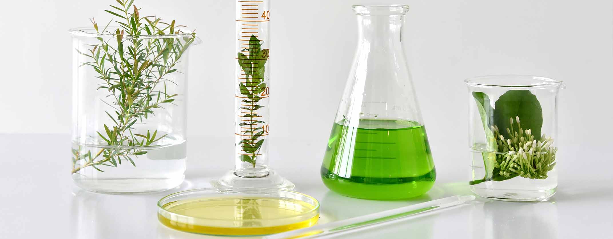 Olympia creme | principi attivi sintetici