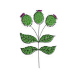 Olympia creme | bardana