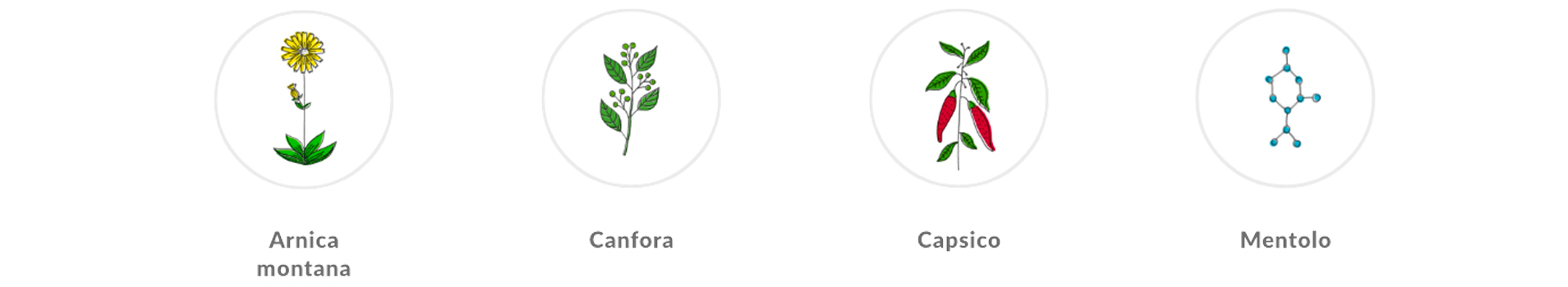 Olympia creme | effetto caldo | principi attivi