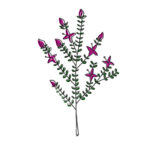 Olympia creme | ratania