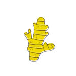 Olympia creme | zenzero